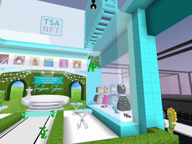 TSA Web 3 Wearable Dictionary