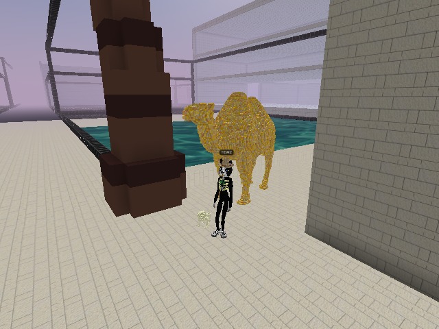 Its a nice day for a Camel Ride! 🐪