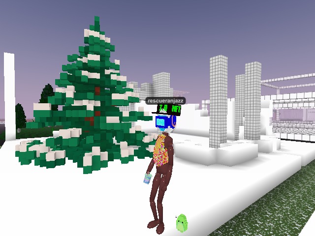 I dub this tree #NaijaTreeofLUCK! May good luck follow those who touch this tree.