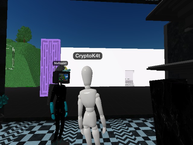 Talking skins w/ a Real One ---> Nvllsekt