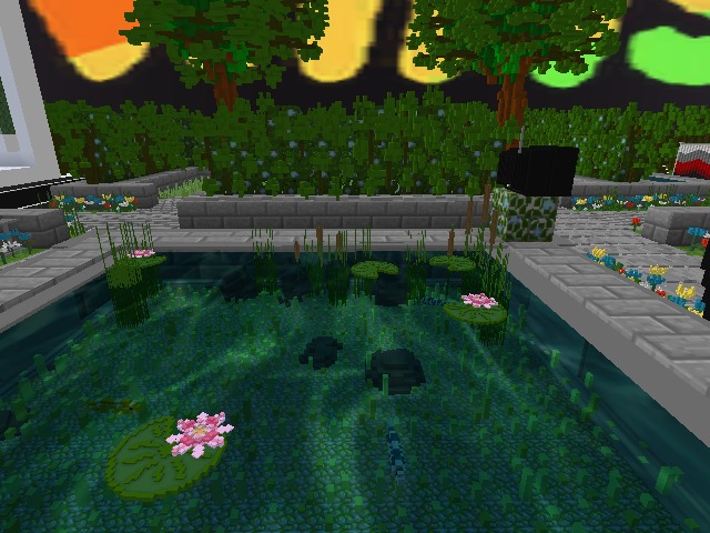 Water Lily Pond