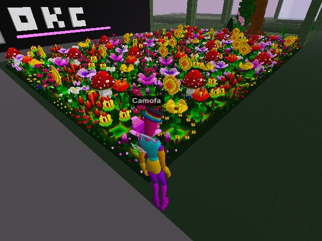 Beautiful garden!