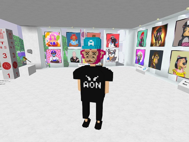 AON not made yet, but testing items to make collectibles.