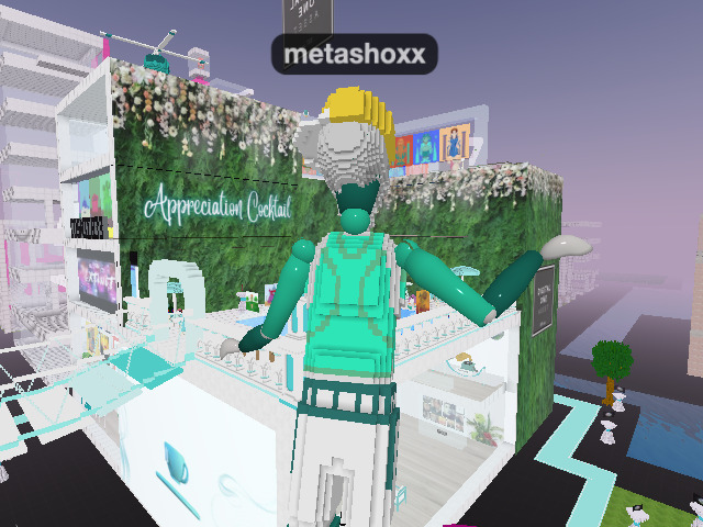 #digtal2020 #tsanft #metashoxx