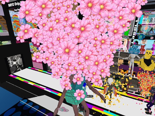 congratulations to the winners of the voxels fashion walk!