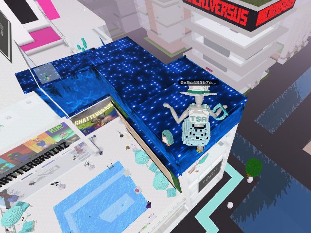 TSA Nightclub !