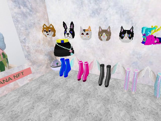 Yumika & Hideki's  masks and clothing