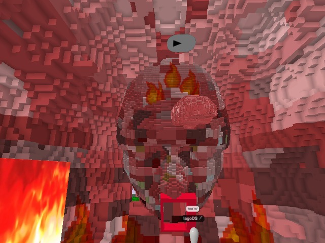 AMAZING VOXEL <3