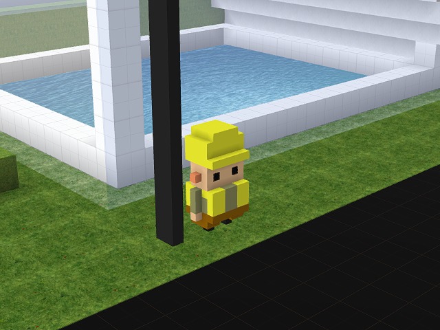 What is this little guy doing here?