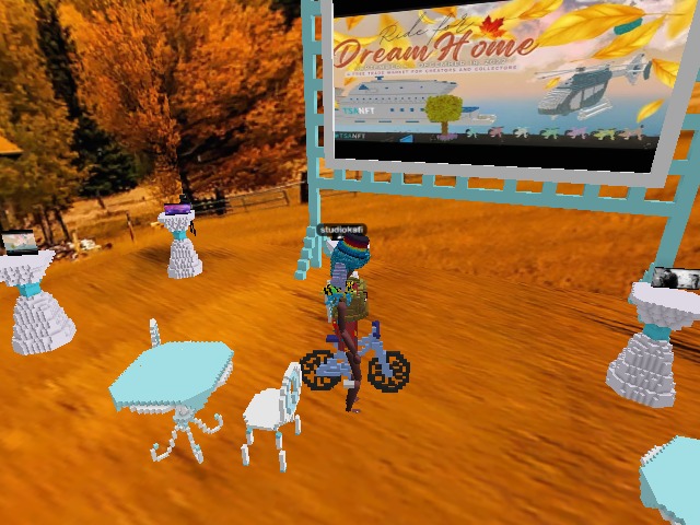 Blue Team. Ride for Dream Home on TSADAO