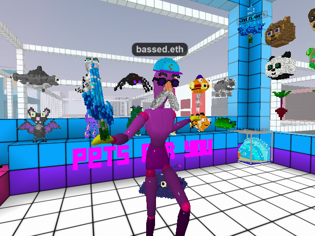 buying wereables at Chooba`s place!