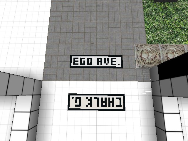 CITIZENS! Please consider tiling your street!