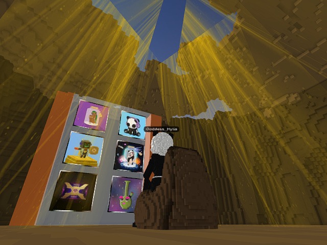 Admiring some NFTs
