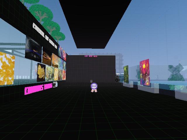 My vision