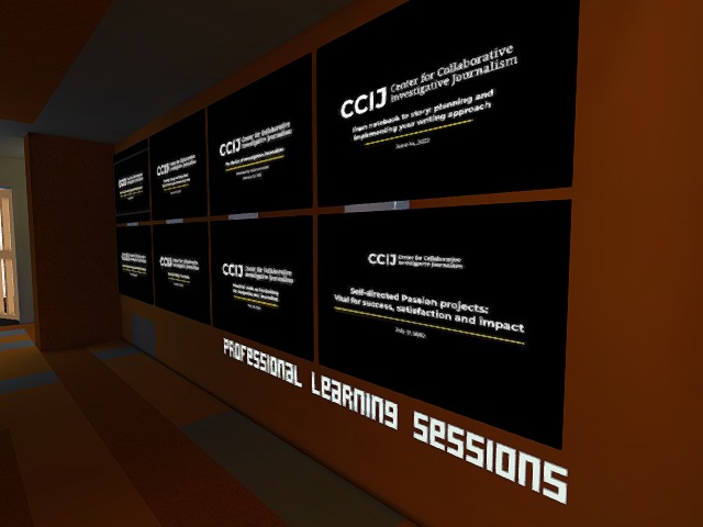 Professional Learning Sessions by the CCIJ