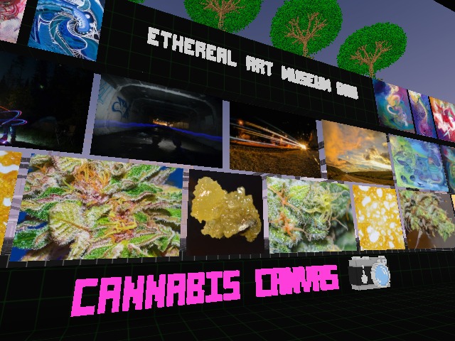 https://www.voxels.com/play?coords=NW@5854W,1698N,-0.5U