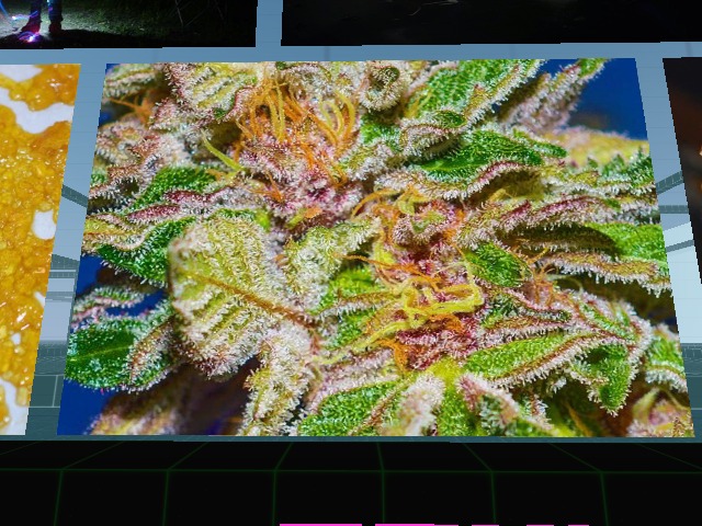 Yumm...