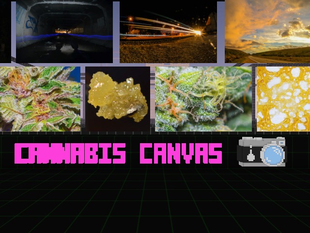 https://www.voxels.com/play?coords=W@5854W,1702N,-0.5U