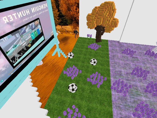 play soccer?