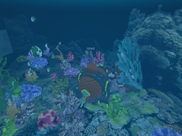 Went for a Dive! 🐠