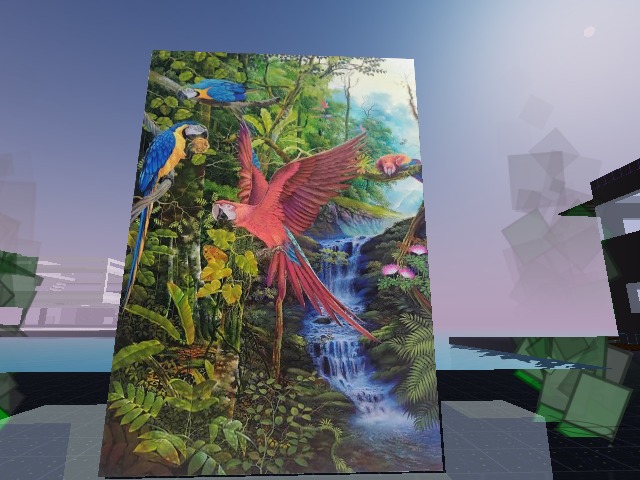 parrots