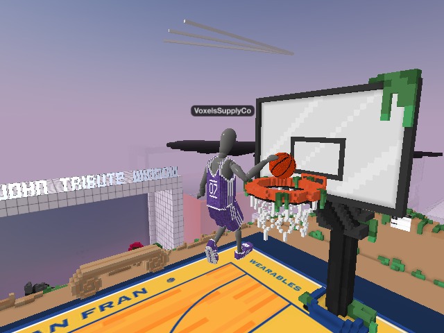 Another Voxels SLAM DUNK! 🏀🔥