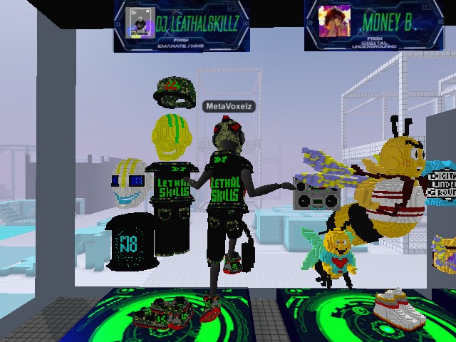 MetaVoxelz Custom Avatars