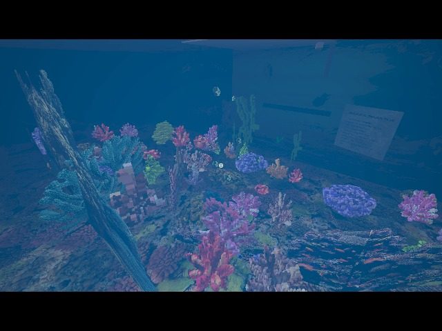 nice to see coral here.