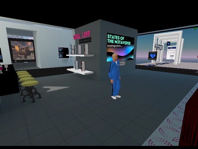 States of the Metaverse Launch. https://twitter.com/i/spaces/1yoJMZeoReexQ