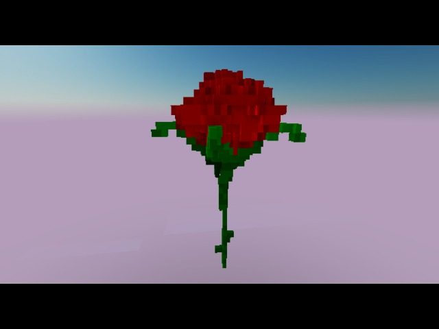 A Rose for the Lady? 🌹