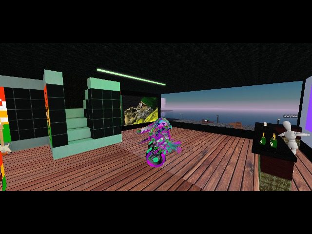 taking the new birdbot outfit for a spin