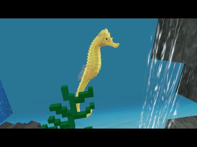 Delicate seahorse swimming by
