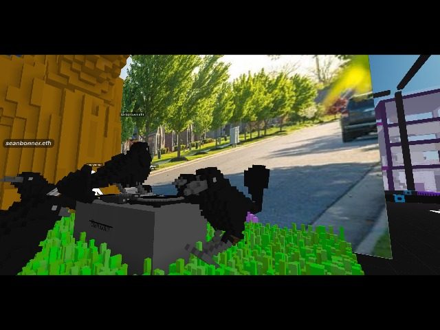 Caw Caw Caw