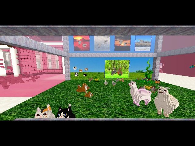 Yumika farm!