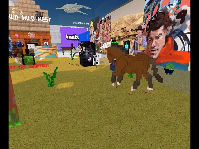 THE BITCOIN COWGIRL RIDES AGAIN