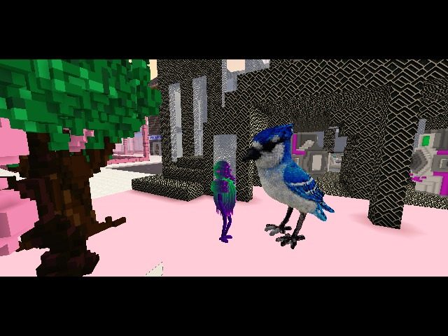 meeting of the bird brains