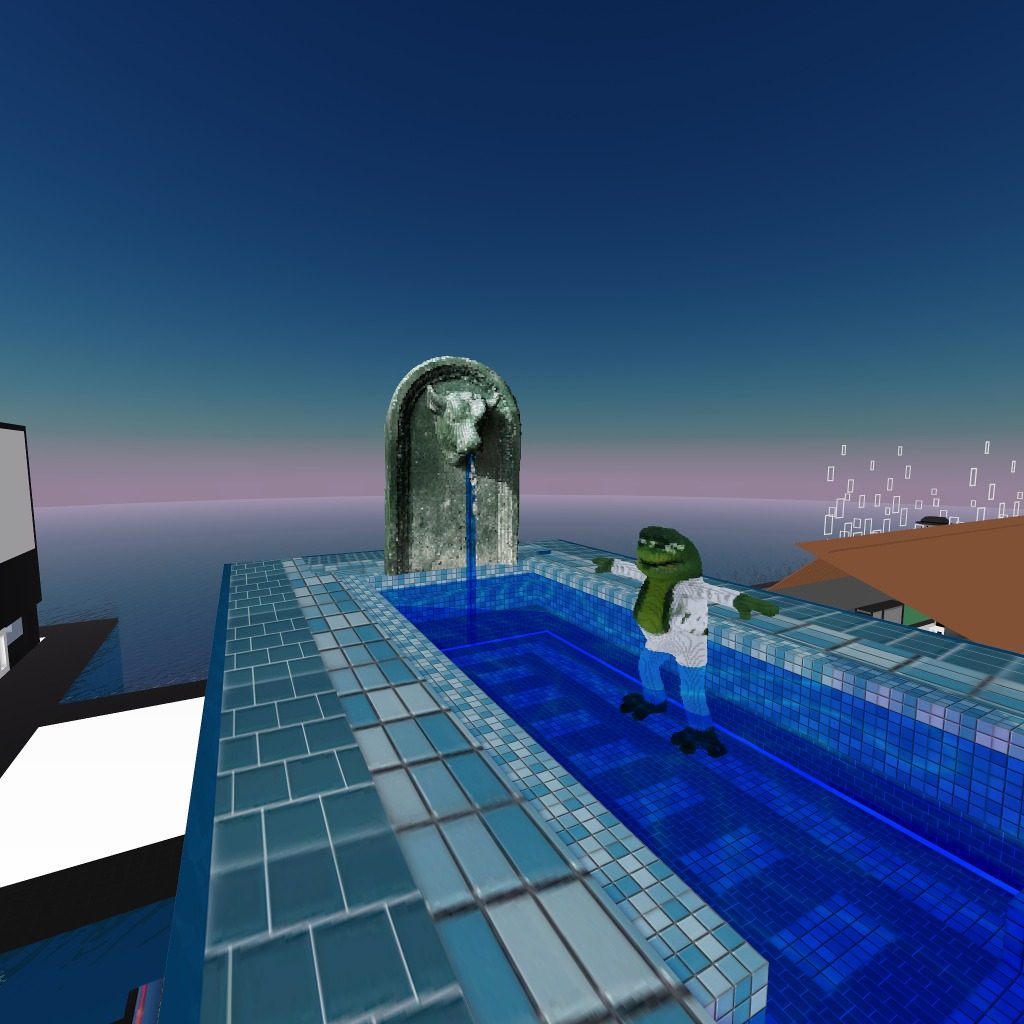 Elvis Pepe having a diving splash in the Aquarium