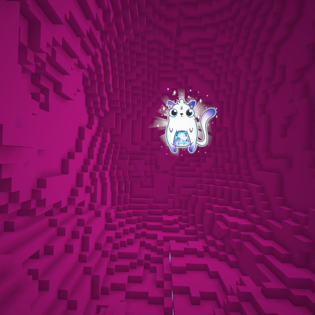 hidden Cryptokitty