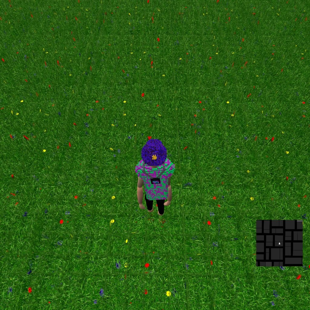 Beautiful grass