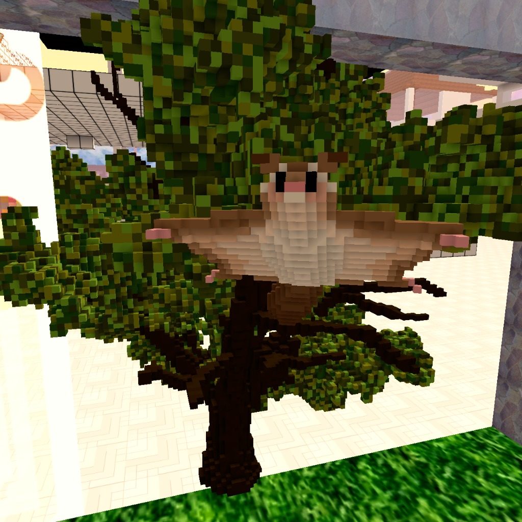 Japanese Giant Flying Squirrel!