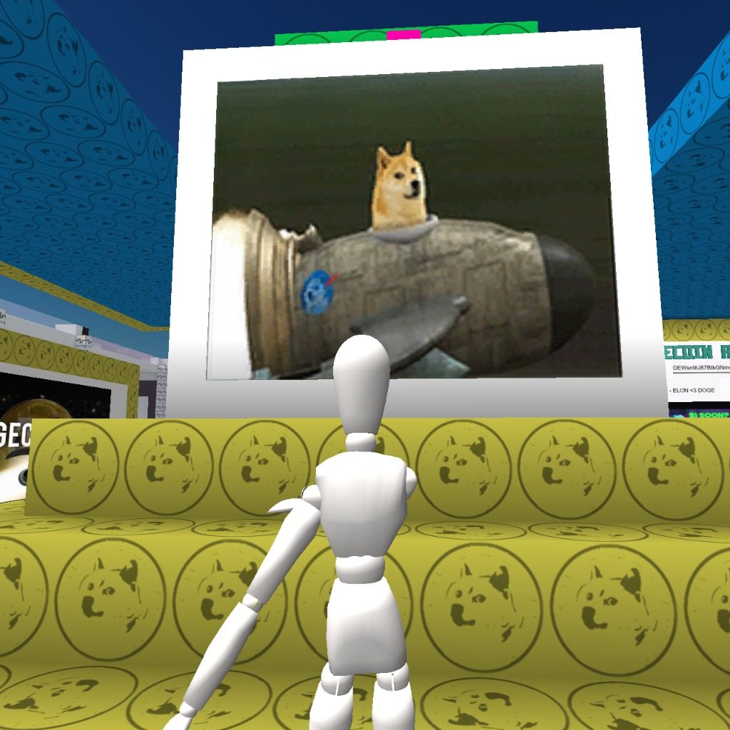dog in a rocket