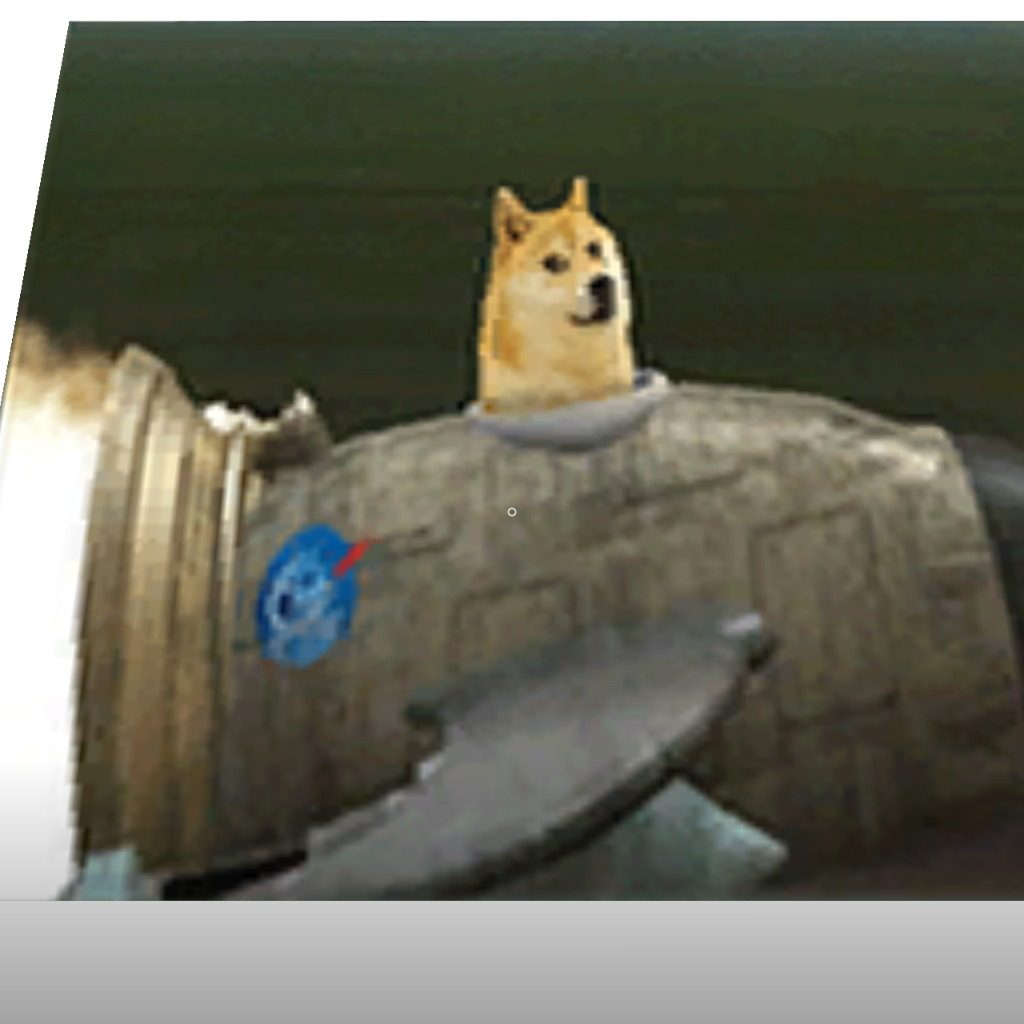 Dog in a rocket 2
