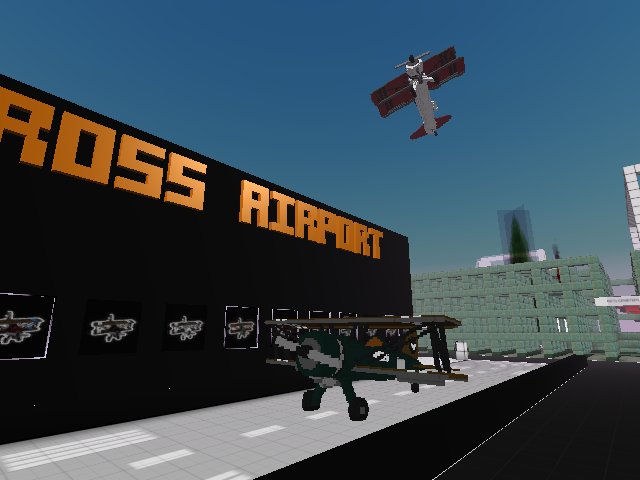ross airport is SICK i need a plane for real not even kidding... how much are these things? FISH?!