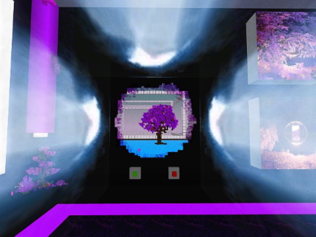 Purple Blessing